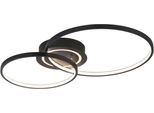 JUST LIGHT LED Deckenleuchte "ASMINA", schwarz, 2, 1 Stk., Leuchten, LED Deckenleuchte