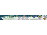 Bilderrahmen SCHIPPER "Malen nach Zahlen, 40x80 cm, silberfarben", silber (silberfarben), Bilderrahmen, Kinder, B/H/T: 40cm x 80cm, Aluminium, Bilderrahmen, Made in Germany, B:40cm H:80cm