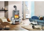 Kaminofen HARK "»Avenso GT ECOplus 6 KW«", grau (titanfarben), Kaminöfen, Kaminofen, Naturstein