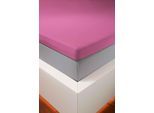Spannbettlaken BELLANA "bellana deluxe für Topper, mit Elasthan, Premium Jersey 230 g/m²", pink, 1 Stk., Jersey, 180x200 180x210 180x220 190x200 190x210 190x220 200x200 200x210 200x220 10cm, Jersey, Obermaterial: 95% Baumwolle, 5% Elasthan (LYCRA), Bettlaken, Spannbettlaken, mit 5% Elasthan, für Topper mit 4-10cm Höhe, bügelfrei, faltenfrei