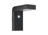 EGLO Wandleuchte "BARACCONI Wandlampe, Alu, Kunststoff, IP44, Solar, Außenlampe, Lampe", schwarz (schwarz transparent), 18, H: 20cm, 1 Stk., Leuchten, Wand-/Deckenleuchte, L9 x H20 x AL20 cm, schwarz, 18X0,2W inkl., Wandleuchte