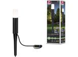 LED Pollerleuchte PAULMANN "Flarea", schwarz, H:20cm Ø:4,5cm, Leuchten, LED Pollerleuchte, LED-Modul