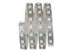 PAULMANN LED-Streifen "MaxLED Stripe 1m 6,2W 24V Silber Kunststoff", silber (silberfarben), Flammen 1 Stk., Gesamtlänge 1m, Lichterketten, TunableWhite, LED-Streifen