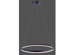 PAUL NEUHAUS Pendelleuchte "TITUS", grau (anthrazit), 1, Ø 60cm, 1 Stk., Leuchten, LED, dimmbar, Simply Dim, Memory, nach Trennung vom Netz, Pendelleuchte