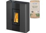 Pelletofen FREEPOINT "Roxy", grau (schwarz), Kaminöfen, Pelletofen