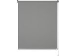 Seitenzugrollo "Tageslichtrollo Tizia", grau (anthrazit), B:80cm H:210cm, Polyester, SCHÖNER WOHNEN-KOLLEKTION, Rollos, Seitenzugrollo, geklebt, geklemmt, silberne oder weiße Rollo-Technik