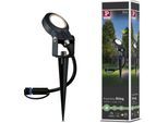 LED Gartenstrahler PAULMANN "Plug & Shine", grau (anthrazit), H:29cm Ø:5cm, Leuchten, LED Gartenstrahler, LED-Modul, IP67 3000K 24V Anthrazit