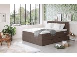 Boxspringbett COTTA "Shark inkl. Bettkasten und Topper", braun (espresso), B:166cm L:212cm, 100% POLYESTER (PES), Komplettbetten, Boxspringbett, erhältlich in den Breiten 140x200cm, 160x200cm und 180x200cm