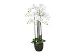 Möbelix , Grün, Weiß , Kunststoff , 93 cm , Real-Touch-Oberfläche , Dekoration, Blumen & Blumentöpfe, Kunstblumen