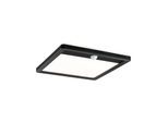 LED Außen-Wandleuchte PAULMANN "Außenpanel Lamina IP44 eckig 250x47mm 14W 920lm 230V Kunststoff", schwarz, B:25cm H:25cm T:4,7cm, Leuchten, LED Außen-Wandleuchte, Backlight Bewegungsmelder insektenfreundlich tunable warmwhite IP44