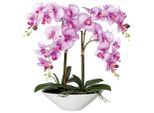 Möbelix , Grün, Lila, Weiß , Keramik , 53 cm , inkl. Topf, Real-Touch-Oberfläche , Dekoration, Blumen & Blumentöpfe, Kunstblumen