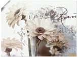 Wandbild ARTLAND "Gerberas_Detail", weiß (farbe bild(er): weiß), B:60cm H:45cm, Bilder, als Leinwandbild, Poster in verschied. Größen