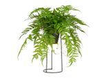 Möbelix , Grün, Schwarz , Metall , 60 cm , LED-Beleuchtung , Dekoration, Blumen & Blumentöpfe, Kunstblumen