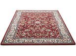 Wollteppich THEKO "Royal Orient Isfahan", rot, B:70cm H:14mm L:140cm, Schurwolle, Teppiche, handgetuftet, Orient-Optik, reine Wolle