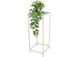 MIRRORS AND MORE "SHANIA"