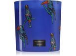 Vila Hermanos Jungletopia Rain Forest geurkaars 1450 g