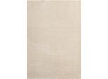 Fellteppich Loft Beige ca. 240x340cm