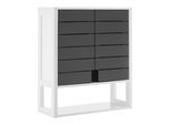 Hängeschrank Tia Grau/Weiß ca. 60x70x23 cm