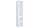 Aktenschrank Lona in Weiß, 5-fach