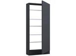 Schuhschrank FULISA Anthrazit ca. 50x112x17 cm