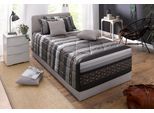 Polsterbett "Davos", grau (hellgrau), B:125cm H:98cm L:210cm, Bezug Bett: Microfaser (100% Polyester);Bonnell-Federkernmatratze: 51% Polypropylen, 39% Polyester und 10% Baumwolle;Kaltschaummatratze: 100% Polyester, Bezug abnehm- und waschbar bis 60C, WESTFALIA SCHLAFKOMFORT, Betten, Polsterbett, inkl. Bettkasten bei Ausführung mit Matratze