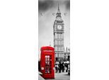 Garderobenleiste QUEENCE "London", grau (grau, rot), B:50cm H:120cm T:10cm, Acrylglas, Edelstahl, Garderobenhalter, mit 6 Haken, 50 x 120 cm