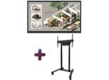 LG CreateBoard 75TR3DQ-B Signage Touch Display 190 cm 75 Zoll inkl. Neomounts MOVE Lift FL55-875BL1