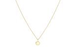 Kette mit Anhänger LIEBESKIND BERLIN "Schmuck Geschenk Gold 375 Halskette Gold Collection", gold (gelbgoldfarben), Halsketten, Damen, Gelbgold 375, L: 50 B: 2mm, B:2mm
