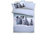 Bettwäsche OTTO HOME "Lyki", bunt (pinguin), B/L: 135cm x 200cm, 1 Stk., 1 Stk., Microfaser, B/L: 40cm x 80cm, 2, Microfaser, Obermaterial: 100% Polyester, Bettwäsche, Bettwäsche, ab Größe 135x200 cm, 100% Polyester, Katze, Pferd, Löwe, Pinguin