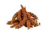 Lyra Pet Kolbenhirse rot 4 kg