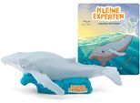 TONIES Hörspielfigur "KLENE EXPERTEN tauchen mit Walen", bunt, Hörspiele, Hörspielfigur