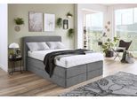 Boxspringbett, grau, B:155cm L:205cm, Microvelours (100% Polyester), WESTFALIA SCHLAFKOMFORT, Komplettbetten, Boxspringbett, wahlweise mit Kaltschaum-Topper