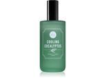 DW Home Cooling Eucalyptus huisparfum 120 ml