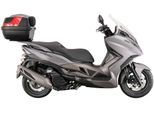 Motorroller ALPHA MOTORS "Sport Cruiser 22", grau (grau, schwarz), Motorroller, 95 km/h, mit Lenkerschloss, B:81cm H:132cm L:218cm