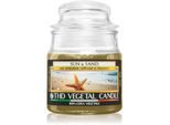 THD Vegetal Sun & Sand geurkaars 100 g