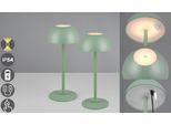 LED Außen-Tischleuchte REALITY LEUCHTEN "RICARDO Tischleuchte 2er-Set", grün (pistazie), H:30cm Ø:13,5cm, Leuchten, LED Außen-Tischleuchte, 2er Set Outdoor Akku Tischlampe Pilzdesign USB-C 4-fach Touch Dimmer