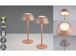 LED Außen-Tischleuchte REALITY LEUCHTEN "RICARDO Tischleuchte 2er-Set", braun (coffee), H:30cm Ø:13,5cm, Leuchten, 2er Set Outdoor Akku Tischlampe Pilzdesign USB-C 4-fach Touch Dimmer