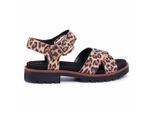 Clarks Orinoco -Gurt Frauen braune Sandalen