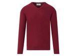 The Blueprint V-neck sweater