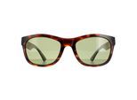 Serengeti zonnebril Chandler SS557001 Classic Tortoise Saturnus gepolariseerd 555 nm