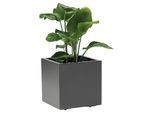 Blumenkasten Anthrazit