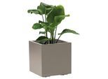 Blumenkasten Taupe