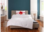 Microfaserbettdecke OTTO HOME "Corella, Bettdecke 135x200 cm, mit Gratis-Kissen dazu: 40x80 cm", weiß, B:135cm L:200cm, Obermaterial: 100% Polyester. Füllung: 100% Polyester, Bettdecken, Microfaserbettdecke, Bettdecken, Sommer, Winter, 4 Jahreszeiten, Decke mit Gratiskissen