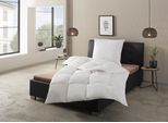 Federbettdecke RIBECO "Laram, Bettdecken für Sommer oder Winter, Made in Germany", weiß, B:200cm L:200cm, Bezug: 100% Baumwolle. Füllung: 90% Federn, 10% Daunen, Bettdecken, Federbettdecke, Super Preis-Leistung, Bettdecke 135x200 cm oder 155x220 cm, Decke