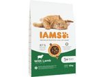 IAMS Advanced Nutrition Trockenfutter Katze, Adult ab 1 Jahr, Lamm 10 kg