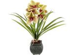 Kunstblume OTTO HOME "Orchidee", bunt (grün, rosa), B:35cm H:40cm L:25cm, Polyester, Kunstpflanzen, Kunstblume, Mit Blätter im Topf aus Zement Künstliche Blume Cymbidium-Orchidee