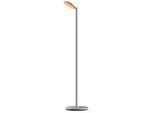 Grau Stehlampe Parrot Floor