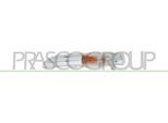 PRASCO Blinkleuchte vg6204314 vorne links für VW
