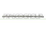 PRASCO Träger, Stoßfänger bm0523206 vorne für BMW