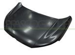 PRASCO Motorhaube fd9363100 für Ford